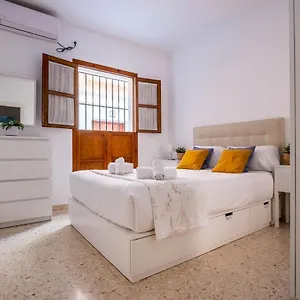 Canarios Sweet Siviglia
